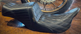 TailWhip CHET / Chestnut Double Diamond / Touring 08-23